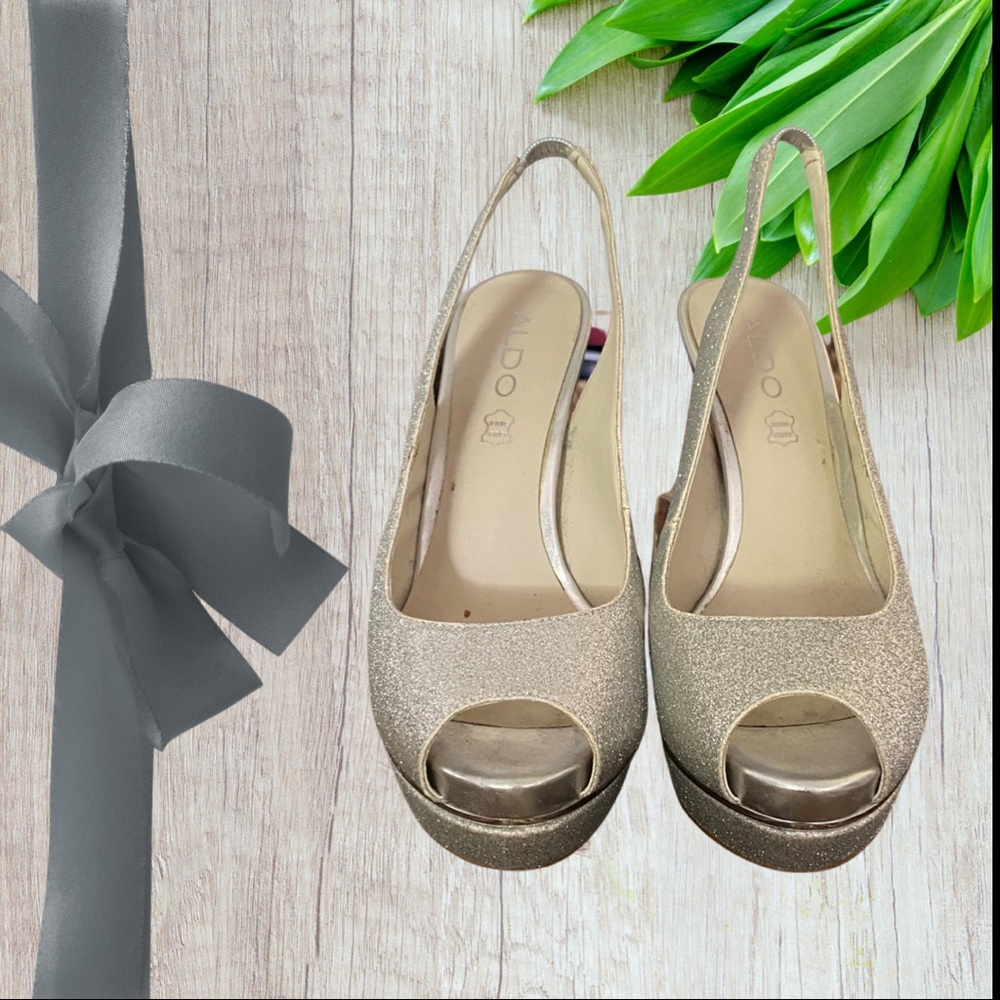 Aldo Silver Slingbacks